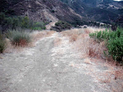 Image Number Ten