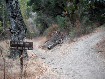 Image Number Two