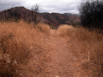 Image Number Seven