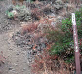 ALI014 Bottom of hill