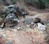 ALI015 Stream crossing