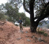 ALI003 Top of switchbacks