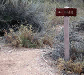 ALI004 Trial sign