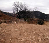 ALI005 Top of first hill