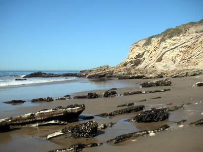 Image Number Seven