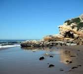 ANI008 Rocky point