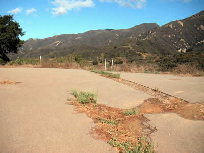 Image Number Ten