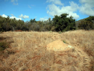Image Number Nineteen