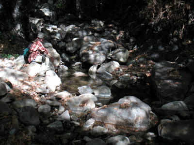 Image Number Twenty Five
