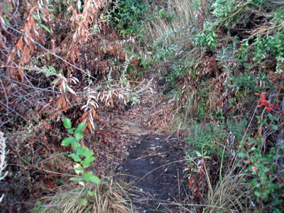 Image Number Twenty Six