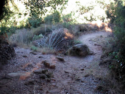 Image Number Two