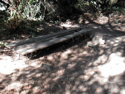 Image Number Four