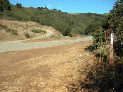 Image Number Seven