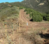 ABS006 Dirt Road