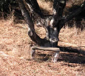 ABS002 Stone bench