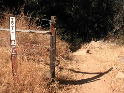 Image Number Ten
