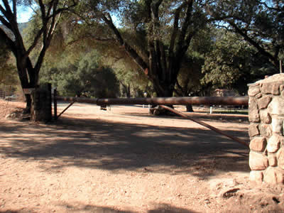 Image Number Thirteen