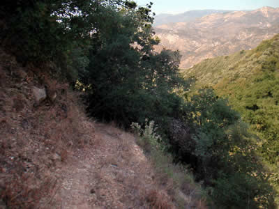 Image Number Six