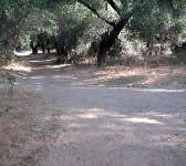 ABN011 Junction with fire road