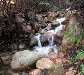 ABN007 Creek crossing