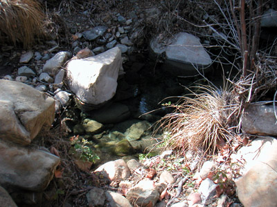 Image Number Two