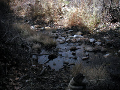 Image Number Five