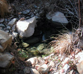 BCT002 Creek Crossing