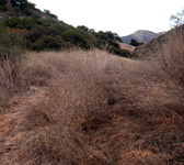 CAM012 Meadow junction