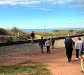 CSB003 Railroad tracks
