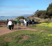 CSB007 Bluffs