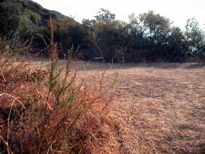 Image Number Nine