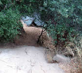 CSE004 Wading pool