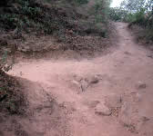 CSE007 Hippie House trail junction