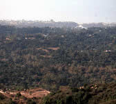CSE008 Montecito Overlook