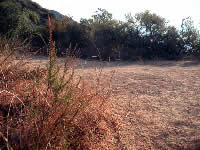 CSE009 Edison Road junction
