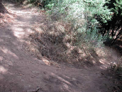 Image Number Ten