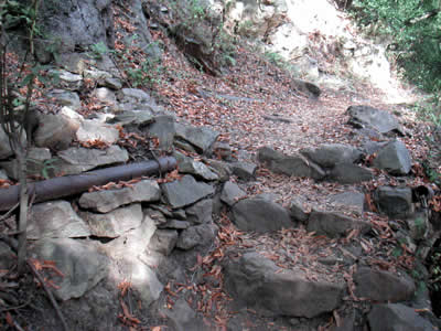 Image Number Three