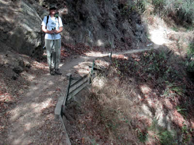 Image Number Nine
