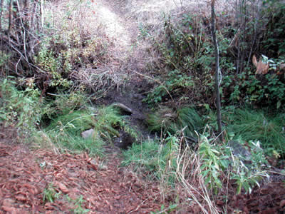 Image Number Ten