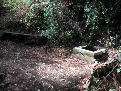 Image Number Two