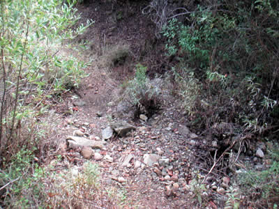 Image Number Nine