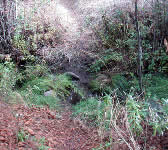 BCT011 Stream crossing