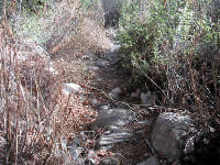 BCT015 Creek headwater