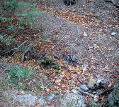DBT010 Creek Crossing