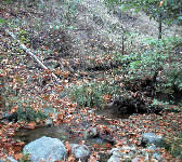 DBT003 Creek Crossing