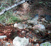 DBT004 Creek Crossing