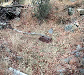 DBT006 Harry Roberts cabin