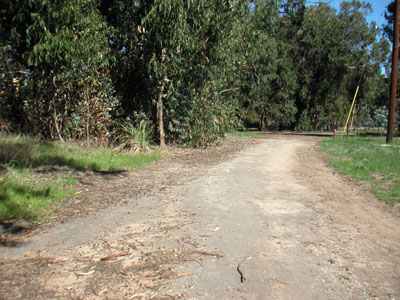 Image Number Seven