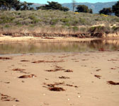 DEV005 Slough