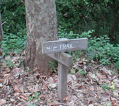 ENN002 Trail junction